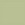 Olive Stripe