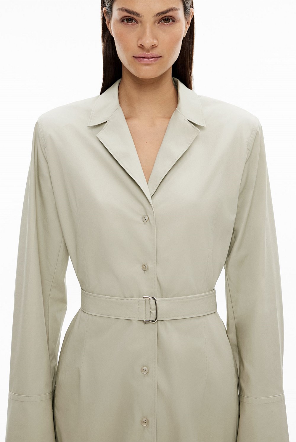 Tailored Shirt Dress