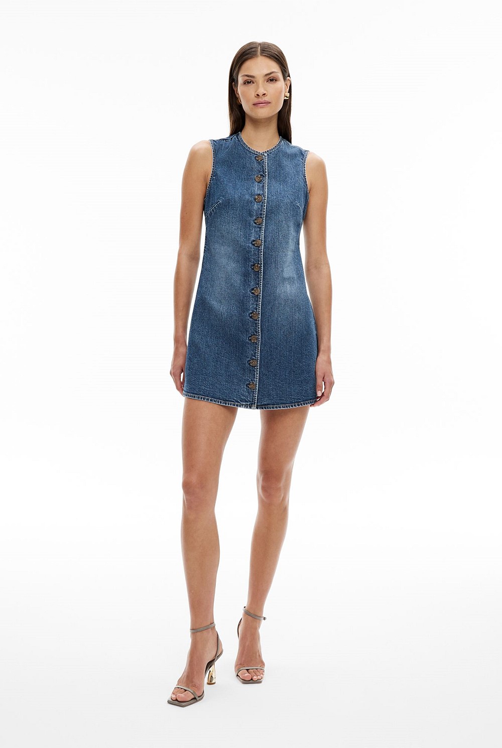 Button Front Denim Dress