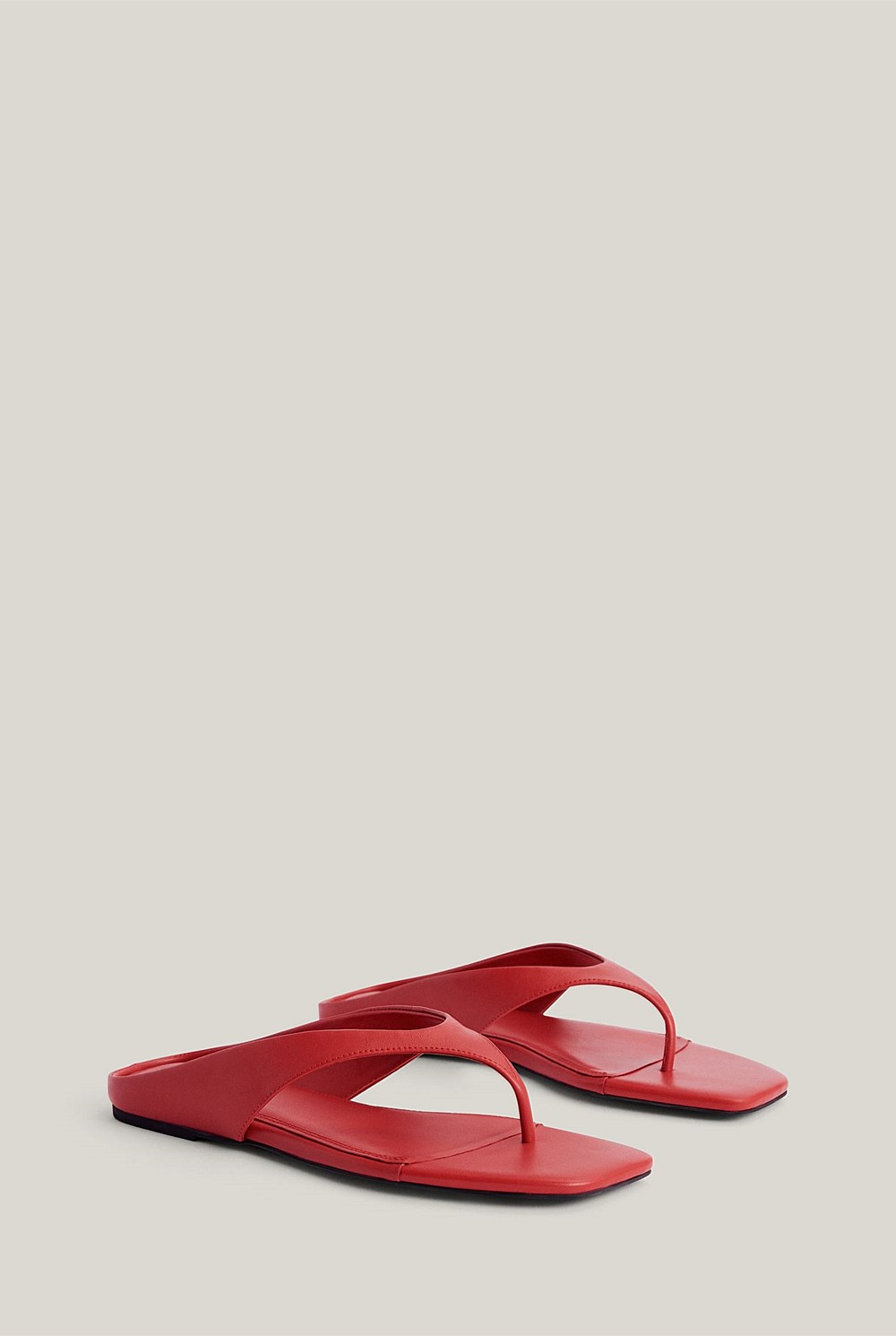 Elana Slides