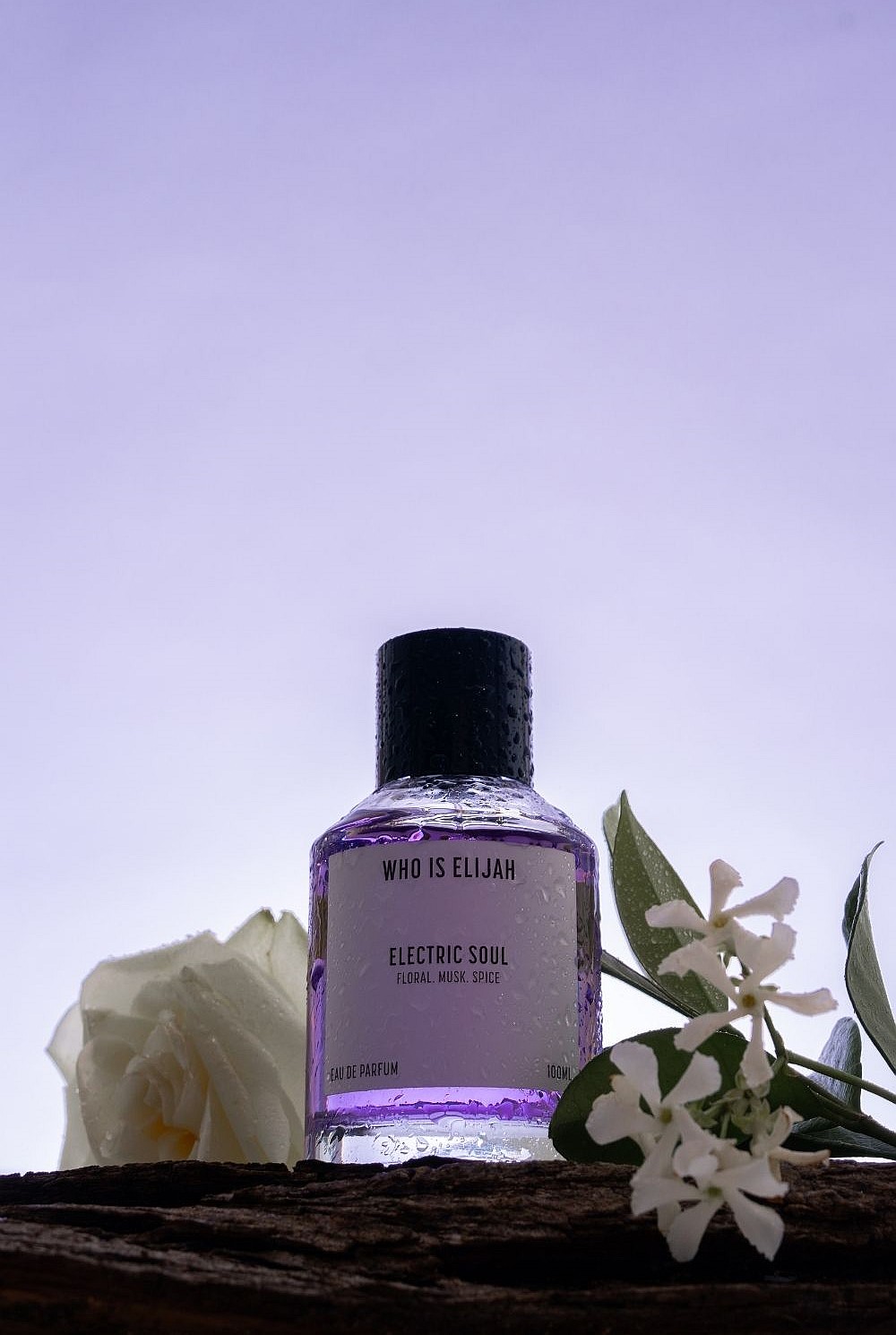 Electric Soul 100ml