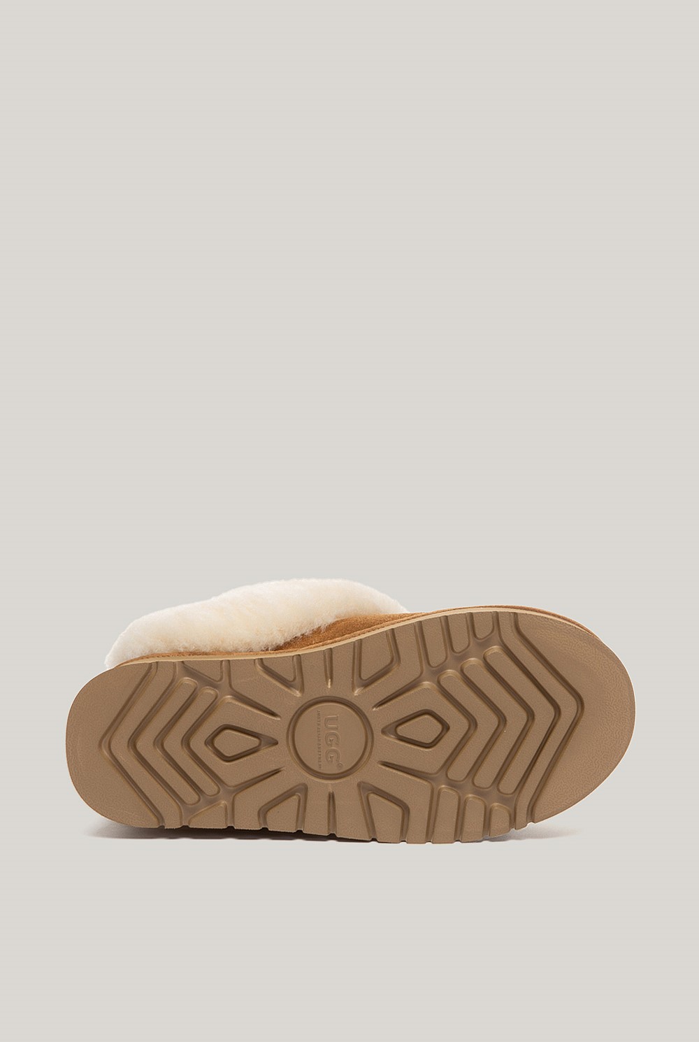 Glacial Slippers