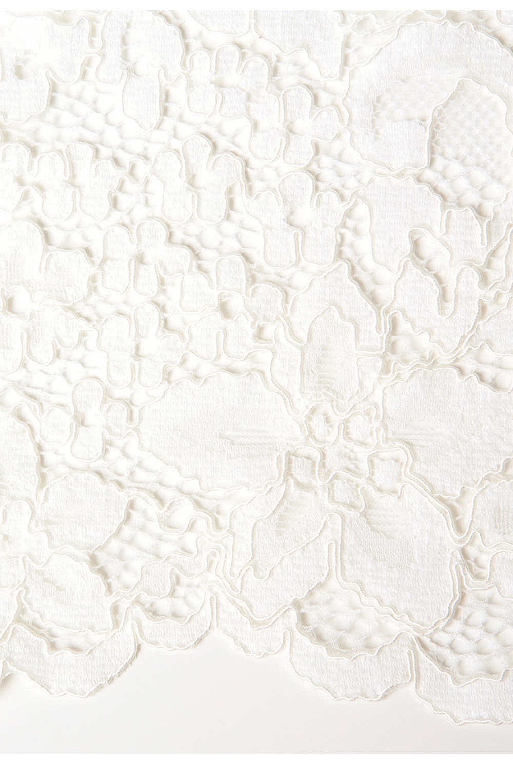 Lace Front Blouse